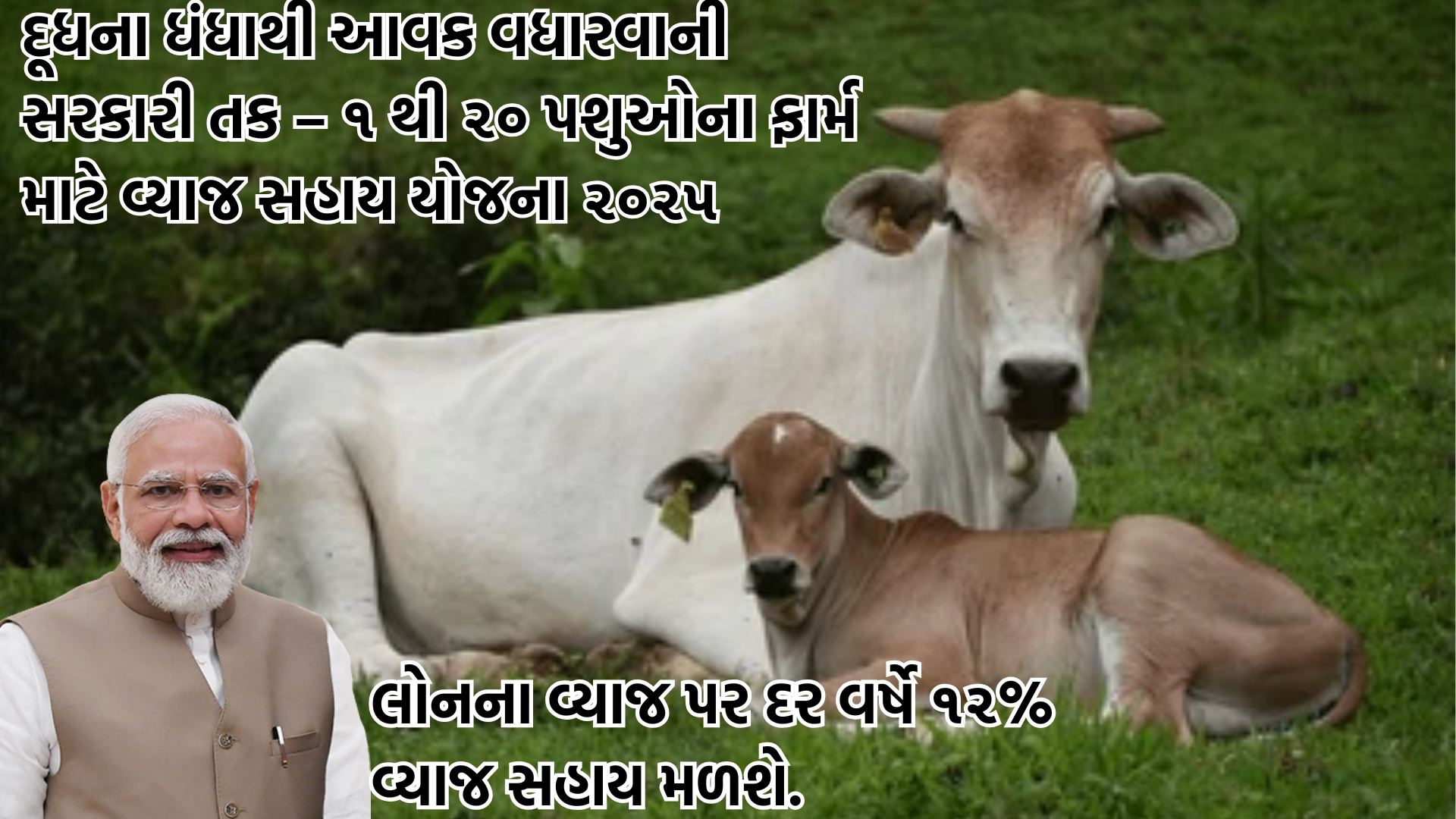 દૂધના ધંધાથી આવક વધારવાની સરકારી તક – ૧ થી ૨૦ પશુઓના ફાર્મ માટે વ્યાજ સહાય યોજના ૨૦૨૫