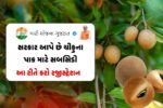 Chiku farming subsidy in gujarat apply online