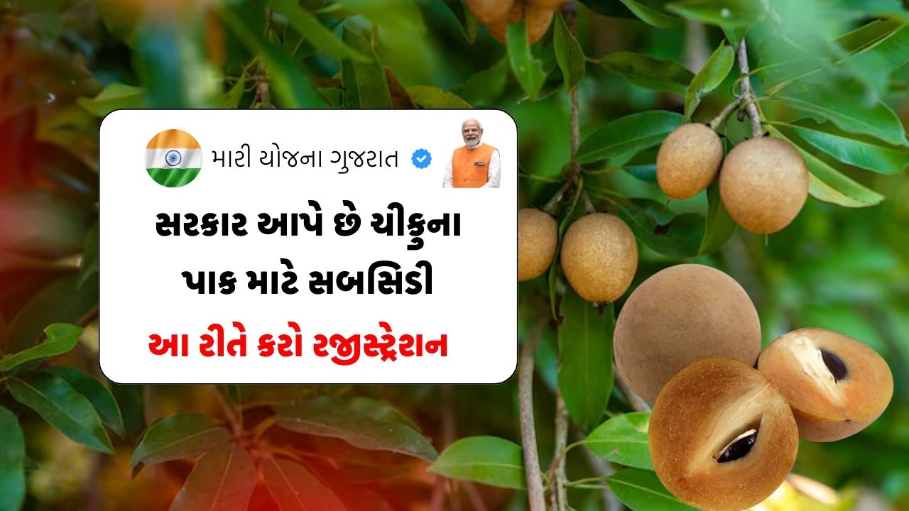 Chiku farming subsidy in gujarat apply online